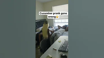 Cucumber prank gone wrong *boyfriend catches her*