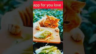 1Kfollows #1Kfollowing #1Kfollowgram #1Kfollowalways #1Ktagblender #1Kfollowstagram 1Kfollows #1Kfollowing #1Kfollowgram #1Kfollowalways #1Ktagblender #1Kfollowstagram
