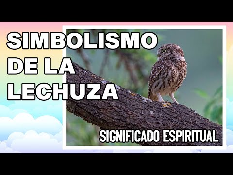 Video: ¿Dónde se encuentran las lechuzas comunes? Búho lechuza común: descripción, foto, contenido en casa