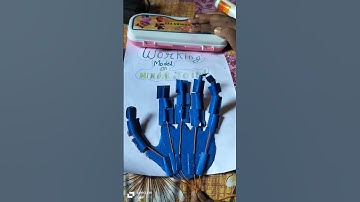 working model of hinge joint 🦴