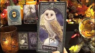♒️Aquarius | The New Beginning You’ve Been Praying For | Oct. 16th - 31st Tarot