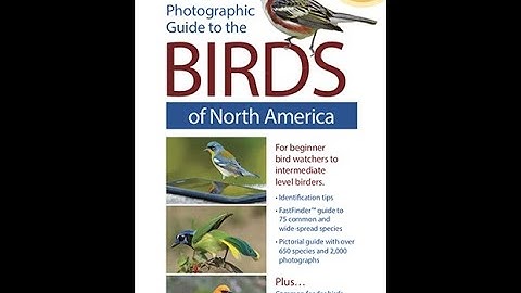 Birdzilla.com Photographic Guide to the Birds of North America.