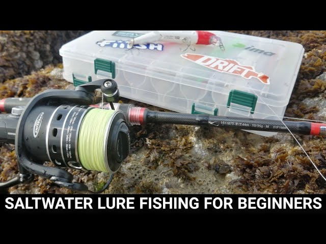 Fishing on a BUDGET - All of My Sea Fishing RODS, REELS, and