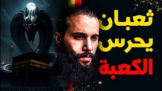  من الناس ما يعرفون قصة ثعبان يحرس كنز الكعبة  سنة من الغموض ثعبان الكعبة سر الكعبة