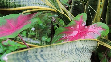 TAO HUB Coworking space