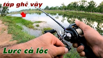 Câu Lure Cá Lóc ✅ Câu Cá Lóc  Buổi Chiều Theo Bờ Cỏ và Cái Kết | Tâm Râu Vlog #244