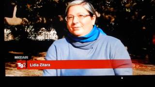 Lidia Zitara a TG2 Mizar(29/03/2015) con il romanzo 