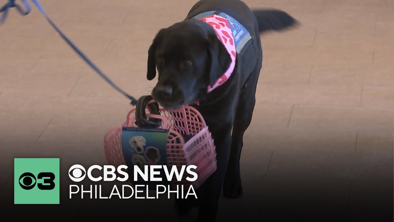 Oona the dog delivers Valentine's Day cards at Jefferson Moss