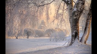 🔝 ХуДоЖнИкИ | Живопись | Рисуем вместе зимний пейзаж | Санкт Петербург зима | Александр Долинский