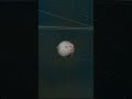 La Tierra sobrevive a la Gigante Roja del Sol #earth #moon #luna #space #solarsystem #shorts #short