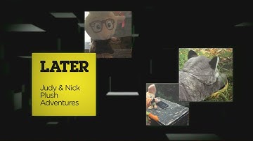 Cartoon Network | Check It 1.0 Next/Later (Primetime) - TNWS/J&N Plush Adventures [FANMADE]