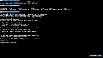 Setup an SSH Server on Ubuntu Within a Docker Container: Public Key Authentication