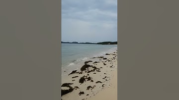 Bãi tắm hồng vàn . Cô tô đảo