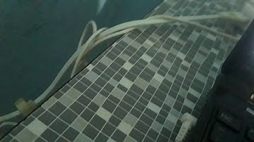 تستمعون في هذا الشهر ربيع الأول في فبراير قناة المجد للقران الكريم 2012 محمد المحيسني