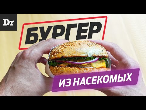 БУРГЕР ИЗ НАСЕКОМЫХ: ОБЗОР