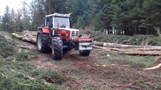 Steyr Traktor im wald