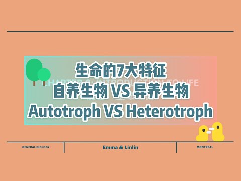 【中英双语国际课堂-生物】生命的特征/自养生物和异养生物 | Properties of Life/Autotrophs and Heterotrophs