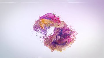 2047 - Colorful Splash Logo Reveal paint water aqua art intro animation