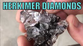 AREA 51 Herkimer Diamond Specimens