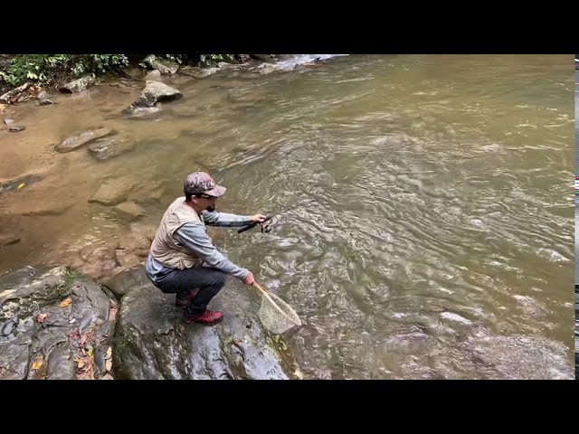 NIGHTCRAWLER Fishing For BIG BASS! Fishing with Live Bait 