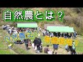 自然農とは？について、有機農業、自然農法との歴史や違いをお伝え致します。