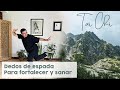 Técnica de SECRETA de TAI CHI para SANAR con DEDOS de ESPADA Parte 2