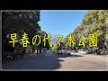 早春の代々木公園