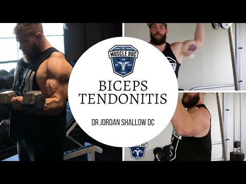 Biceps Curls That Will not Cause Tendonitis