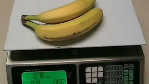 L-PC Price Computing Scale Product Overview