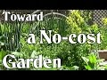 Toward a No-cost Garden: Grow Your Own Food for Next to Nothing (Frugal Gardening)