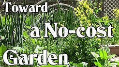Toward a No-cost Garden: Grow Your Own Food for Next to Nothing (Frugal Gardening)