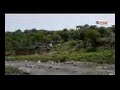 نادر الجرادي ليلة خميس 