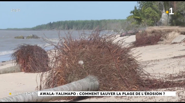 Awala-alimapo : comment sauver le plage de l'érosion?