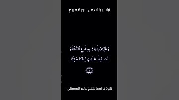 تلاوة عطرة من سورة مريم للقارى الشيخ ماهر المعيقلي