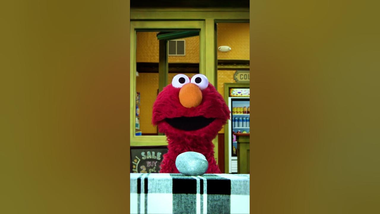 Elmo Meets Rocco Again #sesamestreet #shorts Elmo Meets Rocco Again #sesamestreet #shorts