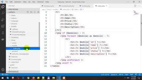 Modeling Data and ORM in Codeigniter 4