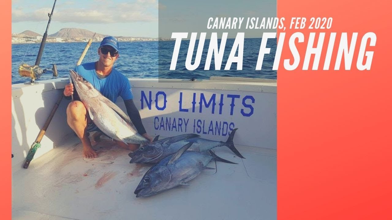 Tuna Fishing: all you need to know about this legendary fish