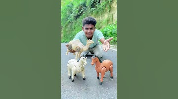 Remote Control 2 Horse And 1 Camel Unboxing And Testing | #horse #animals #camel #unboxing #toys