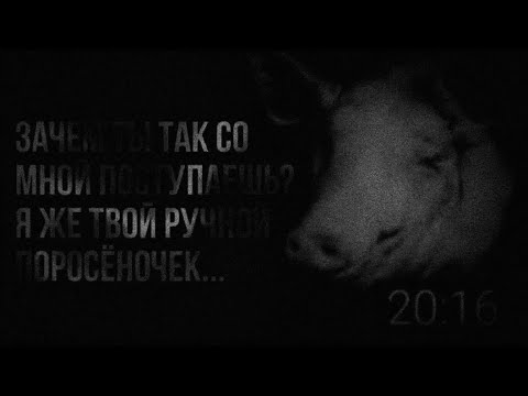 Зачем ты так со мной поступаешь?Я же твой ручной поросёночек...[Страшилка на ночь]