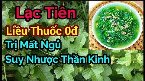 LẠC TIÊN : Vị thuốc thần kỳ Trị Mất Ngủ, Chữa Suy Nhược Thần Kinh hiệu quả chỉ 1 lần dùng|| ÂTTG