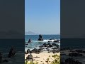 Pantai Ina Burak Adonara Flores Timur 🇲🇨🌍*