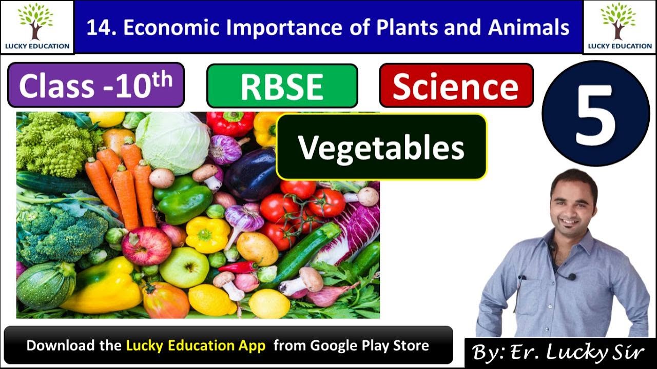 Class 10 Science Chapter 14 Economic Importance of plants and Animals |  Cereals | RBSE | Part 5 - YouTube