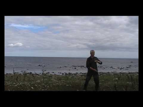 Qi gong (Peter Douglas) Relax