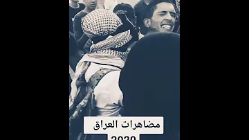 اللبوة لا تحتمي بأرنب يا عزيزي 