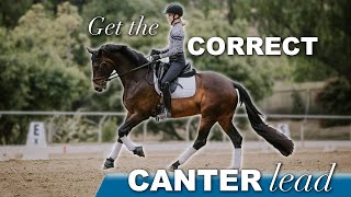 How to Pick Up the Correct Canter Lead