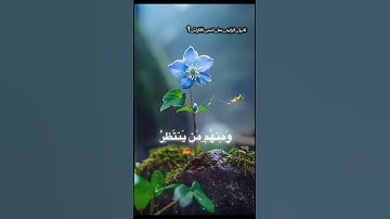 القارئ :- بدر التركي   #قرآن #قران_كريم #راحة_نفسية #اكسبلور