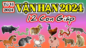 Vận Hạn 2024 | Tử Vi 2024 của 12 con giáp - Năm Giáp Thìn 2024  @Luangiai12congiap