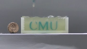 Movie S1 - FRESH Printing CMU