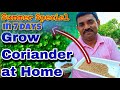 रामविलास जी से सीखिए गर्मियों में 7 दिनों में धनिया उगाने का सबसे आसान घरेलू तरीक़ा || Coriander