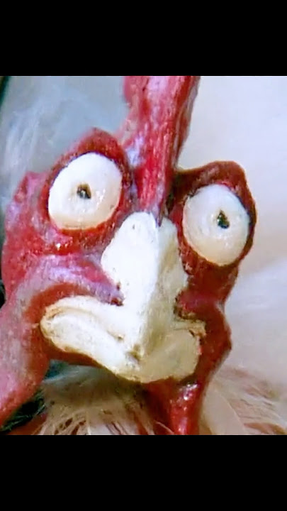 Archery Fail... and the Ultimate Weapon 🐔💥 | Hot Shots! Part Deux (1993)